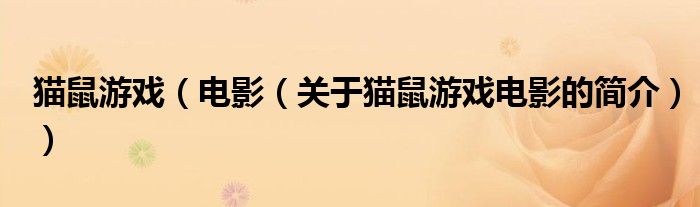 猫鼠游戏（电影（关于猫鼠游戏电影的简介））