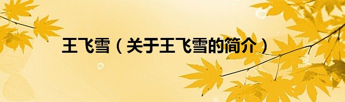 王飞雪（关于王飞雪的简介）