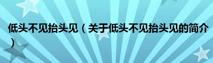 低头不见抬头见（关于低头不见抬头见的简介）