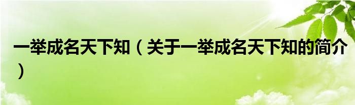 一举成名天下知（关于一举成名天下知的简介）