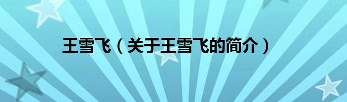 王雪飞（关于王雪飞的简介）
