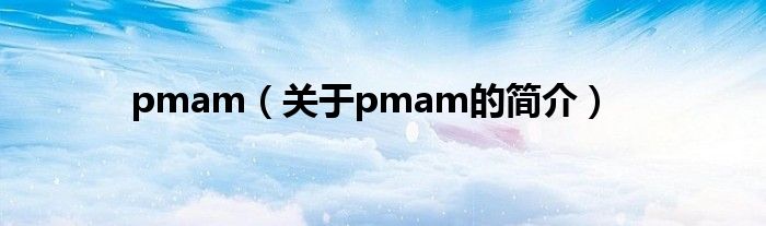 pmam（关于pmam的简介）