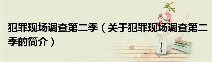 犯罪现场调查第二季（关于犯罪现场调查第二季的简介）