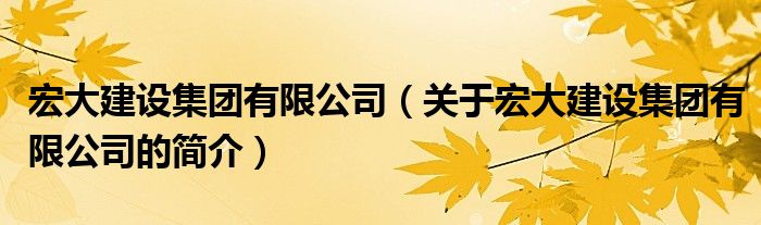 宏大建设集团有限公司（关于宏大建设集团有限公司的简介）