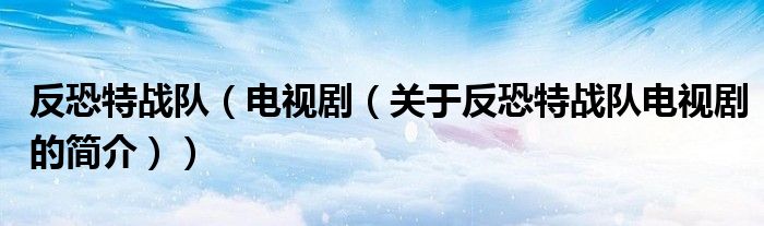 反恐特战队（电视剧（关于反恐特战队电视剧的简介））