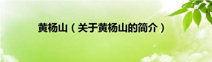 黄杨山（关于黄杨山的简介）