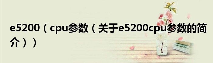 e5200（cpu参数（关于e5200cpu参数的简介））