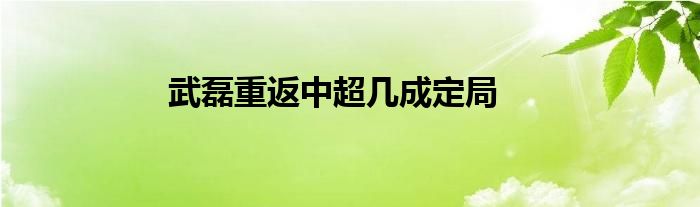 武磊重返中超几成定局