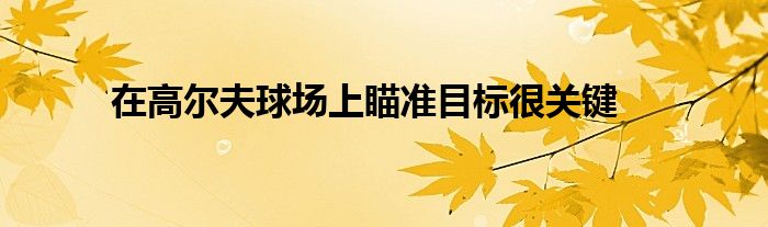 在高尔夫球场上瞄准目标很关键
