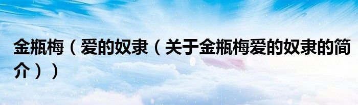 金瓶梅（爱的奴隶（关于金瓶梅爱的奴隶的简介））