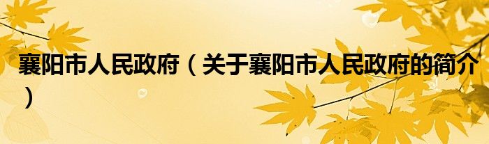 襄阳市人民政府（关于襄阳市人民政府的简介）