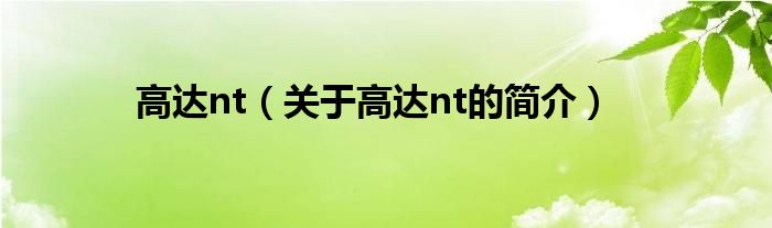 高达nt（关于高达nt的简介）