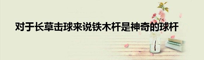 对于长草击球来说铁木杆是神奇的球杆