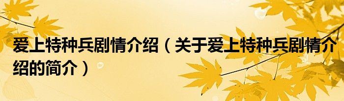 爱上特种兵剧情介绍（关于爱上特种兵剧情介绍的简介）