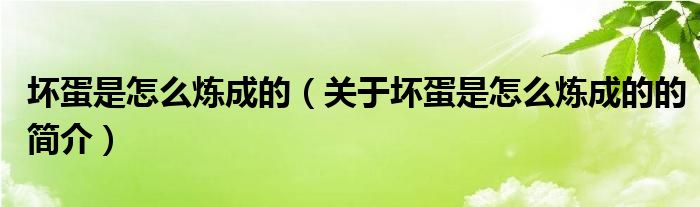 坏蛋是怎么炼成的（关于坏蛋是怎么炼成的的简介）