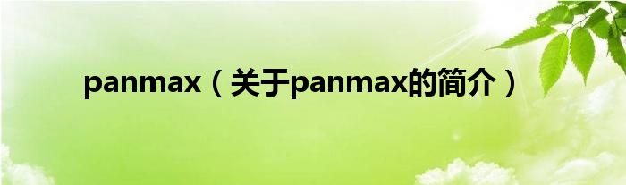 panmax（关于panmax的简介）