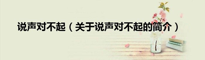 说声对不起（关于说声对不起的简介）
