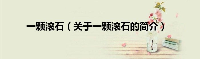 一颗滚石（关于一颗滚石的简介）