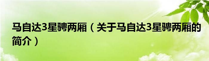 马自达3星骋两厢（关于马自达3星骋两厢的简介）