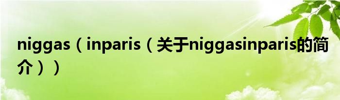niggas（inparis（关于niggasinparis的简介））