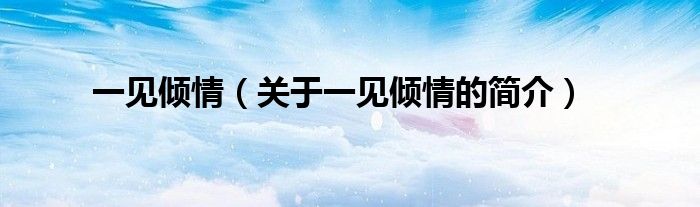 一见倾情（关于一见倾情的简介）