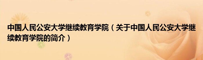 中国人民公安大学继续教育学院（关于中国人民公安大学继续教育学院的简介）