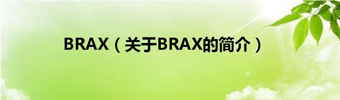 BRAX（关于BRAX的简介）