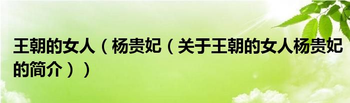 王朝的女人（杨贵妃（关于王朝的女人杨贵妃的简介））