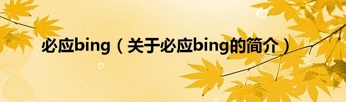 必应bing（关于必应bing的简介）