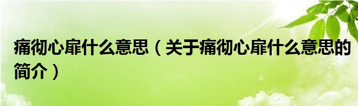 痛彻心扉什么意思（关于痛彻心扉什么意思的简介）