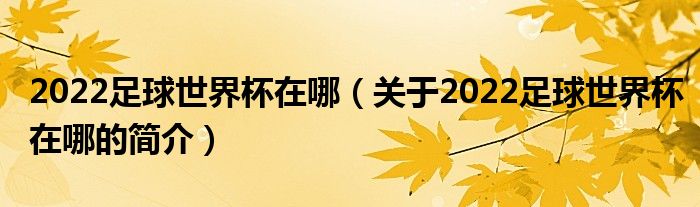 2022足球世界杯在哪（关于2022足球世界杯在哪的简介）