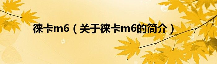 徕卡m6（关于徕卡m6的简介）