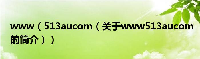 www（513aucom（关于www513aucom的简介））