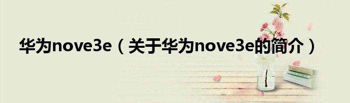 华为nove3e（关于华为nove3e的简介）