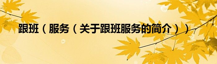 跟班（服务（关于跟班服务的简介））