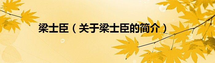 梁士臣（关于梁士臣的简介）