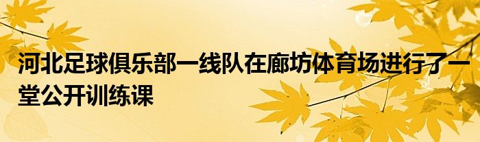 河北足球俱乐部一线队在廊坊体育场进行了一堂公开训练课