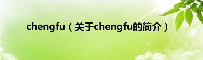 chengfu（关于chengfu的简介）