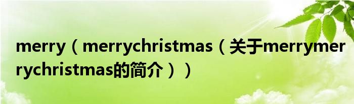 merry（merrychristmas（关于merrymerrychristmas的简介））