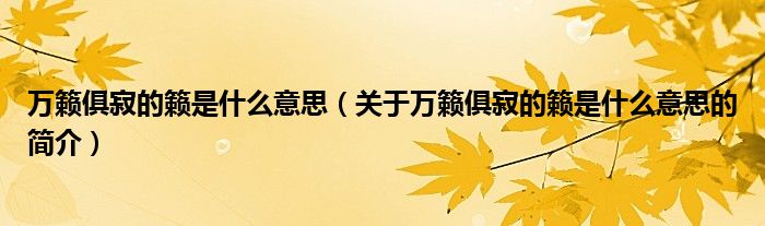 万籁俱寂的籁是什么意思（关于万籁俱寂的籁是什么意思的简介）