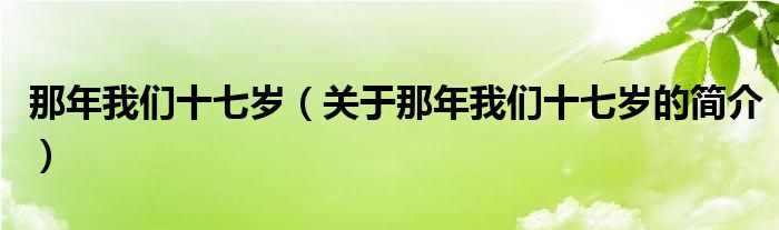 那年我们十七岁（关于那年我们十七岁的简介）
