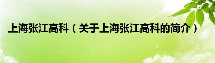 上海张江高科（关于上海张江高科的简介）