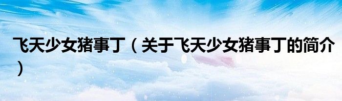 飞天少女猪事丁（关于飞天少女猪事丁的简介）
