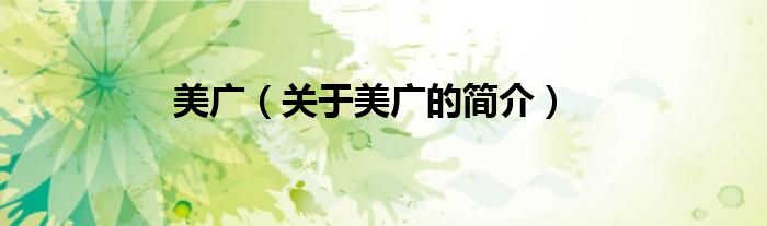 美广（关于美广的简介）