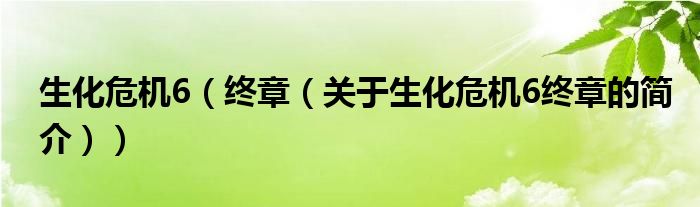 生化危机6（终章（关于生化危机6终章的简介））