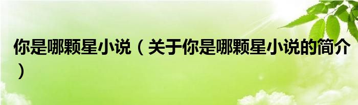 你是哪颗星小说（关于你是哪颗星小说的简介）