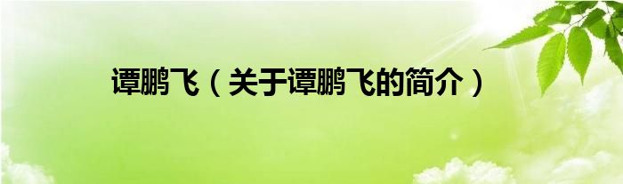 谭鹏飞（关于谭鹏飞的简介）