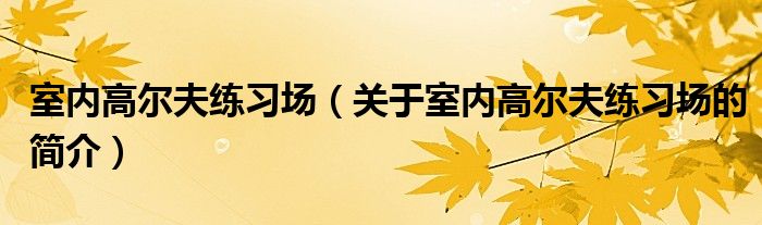 室内高尔夫练习场（关于室内高尔夫练习场的简介）