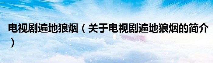 电视剧遍地狼烟（关于电视剧遍地狼烟的简介）