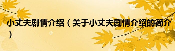 小丈夫剧情介绍（关于小丈夫剧情介绍的简介）